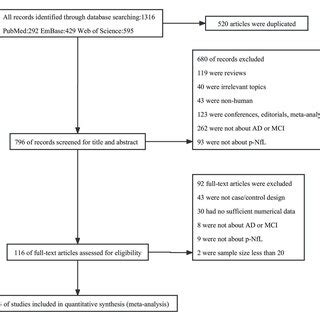 flow diagram  studies selected  meta analysis