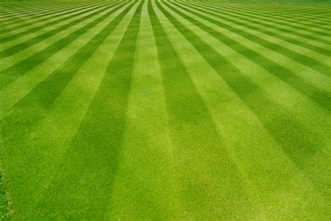 Green Guys Lawn Fertilizer — Green Guys Lawn & Landscape