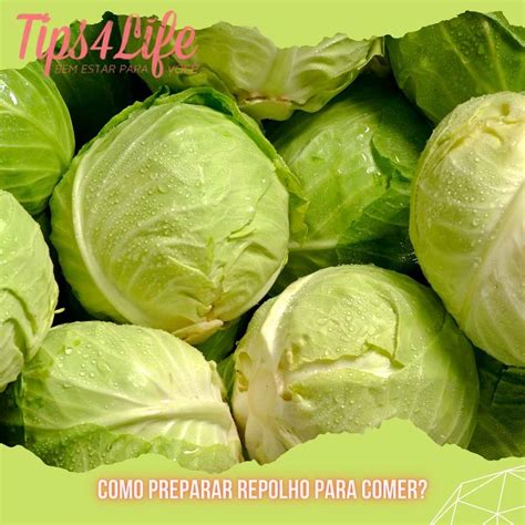 Repolho É Bom Para Dieta - Saiba se o repolho é remoso e se ele é bom para sua saúde - Tips4Life