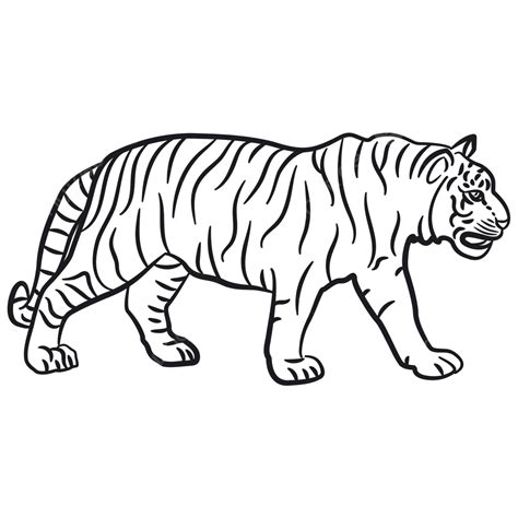 Walking Tiger Icon Nature Illustration Vector Icon Nature