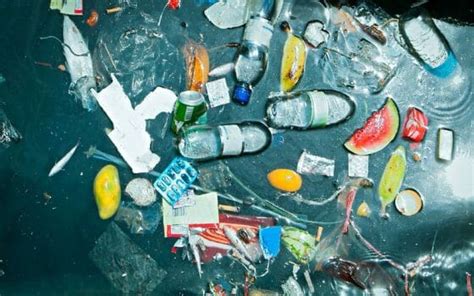 Microplastics In Drinking Water Everything You Need To Know Freshnss