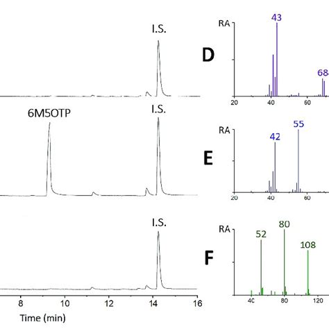 Gc Ms Chromatogram Of Synthetic 2ap In Toluene A Dcm B And After