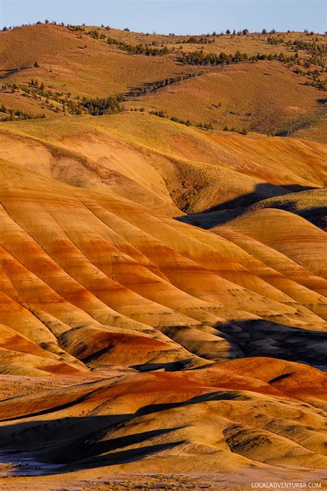 The Ultimate Guide To The Painted Hills Oregon Local Adventurer