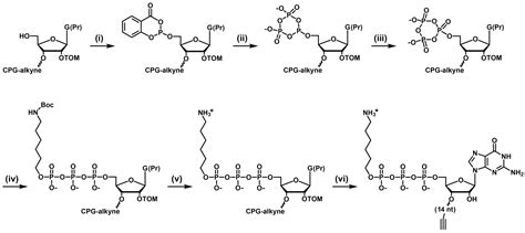 Molecules Free Full Text Real Time Detection Of A Self Replicating