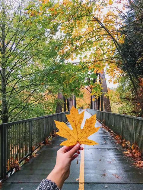 22 Spots To See Fall Colors Near Seattle Wandering Backpack