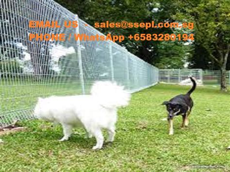 dog run fence | Singapore Specialized Engineering Pte ltd