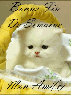 A White Cat Sitting In A Basket With The Words Bonne Fin De Semaine On It