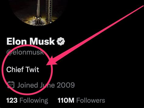 Elon Musk Changes His Twitter Bio To Chief Twit Ahead Of Rapidly