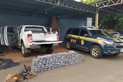 Com Auxílio De Cães Farejadores Prf Apreende Carga De Cocaína Avaliada