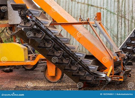 A Machine for Extracting Seeds from Sunflowers in a Hangar. Mountain of ...