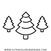 Dibujo De Pino Para Colorear Ultra Coloring Pages