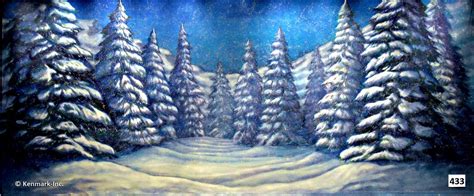 Snow Forest Scenic Backdrop by Kenmark Backdrops