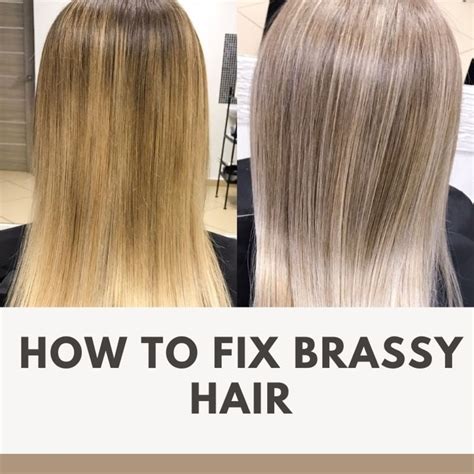 How To Tone Brassy To Ash At Jamie Sims Blog