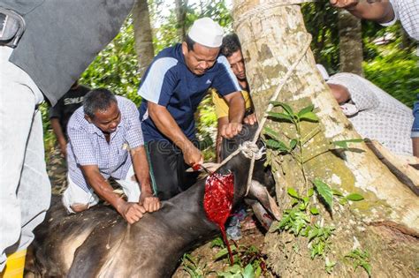 Heiliges Opfer Eid Ul Adha Redaktionelles Stockbild Bild Von