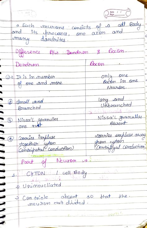 Solution Cns Tulsi Studypool