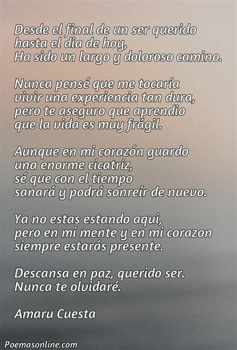 Cinco Mejores Poemas De 4 Versos Poemas Online