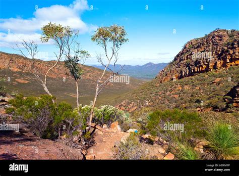 Landscape Outback Flinders Ranges South Australia Australian Landscapes