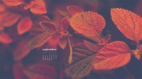 September 2021 wallpapers – 35 FREE calendars for desktop and phones!