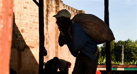 Nyeri, Kenya - Trabocca | In pursuit of great coffee