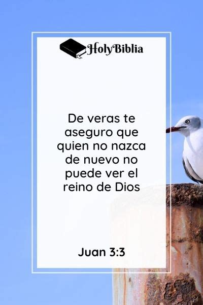 Qu Significa Nacer De Nuevo En La Biblia Holybiblia