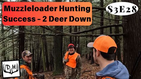 Muzzleloader Deer Drives Deer Down Youtube