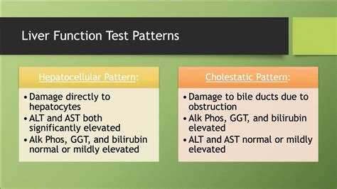 Liver Function Tests Lfts Youtube