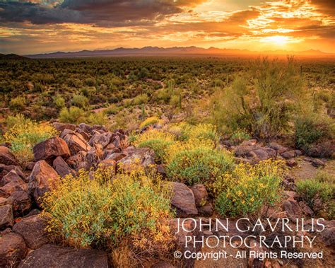 Southwestern Landscapes