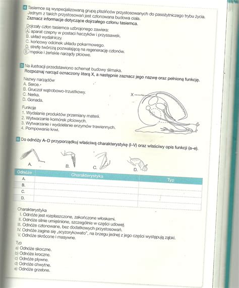 Sprawdzian Biologia Stawonogi I Mi Czaki Margaret Wiegel