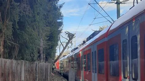 Unwetter in München Baum stürzt auf Oberleitung S Bahn evakuiert