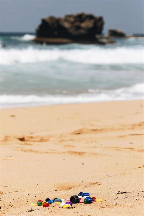 Barbados bans single use petro based plastics - Carvemag.com