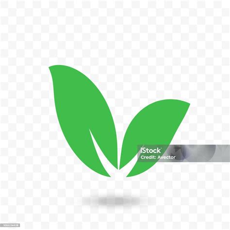 logo vektor daun  latar belakang transparan ikon daun hijau