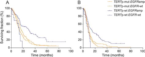 Prognostic Stratification Of Glioblastomas According To TERT Promoter