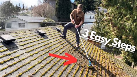 How To Get Moss Off Your Shingle Roof At Arnulfo Summey Blog