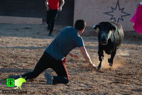 X Toros Capea En Finca Bellalucia