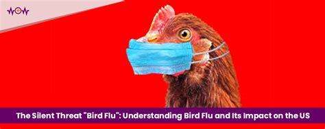 The Silent Threat Bird Flu Bird Flu And Its Impact On The Us