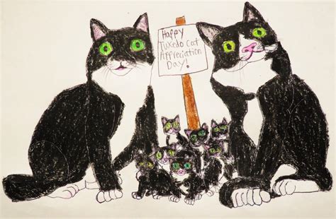 Tuxedo Cat Appreciation Day by Sabreleopard on DeviantArt