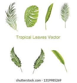 Print Tropical Leaves Vector Stock Vector (Royalty Free) 1319985269 ...