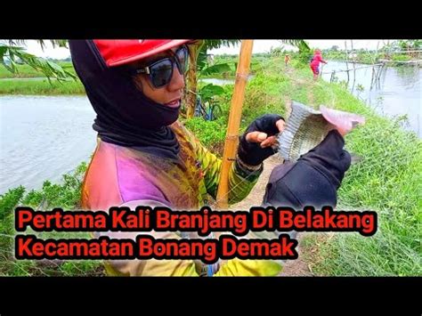 Mencoba Branjang Ikan Nila Di Spot Baru Pertama Kali Disini Dan Inilah