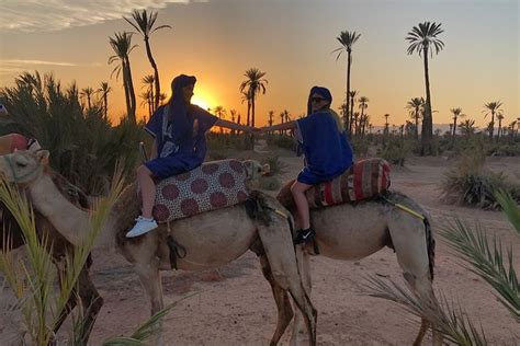 Sunset Camel Ride In The Palm Grove Of Marrakech