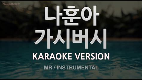 Mr Instrumental Zzang Karaoke Youtube