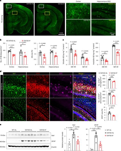 If Reduces A Burden And The Extent Of Glial Activation In Xfad