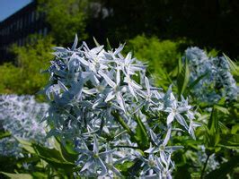 Zurich University Botanical Gardens