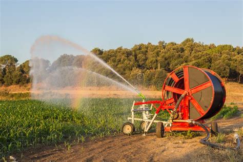 Hose Stock Image Image Of Farm Outside Plant Field 33381971