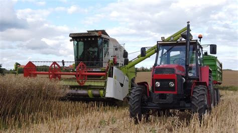 Rozpocz Cie Niw Rzepaku Z Claas Claas Dominator Ursus