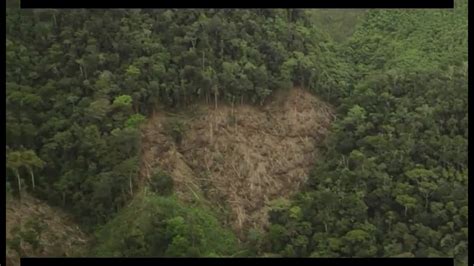 Deforestación Biosfera del Río Plátano Honduras YouTube