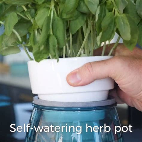 Ceramic Self-Watering Herb Pot, #Ceramic #Herb #Pot #SelfWatering ...