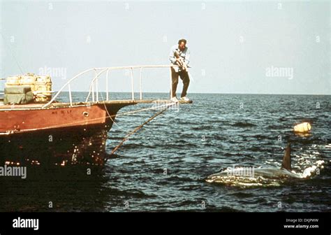 JAWS, 1975, Film, Movie Stock Photo - Alamy