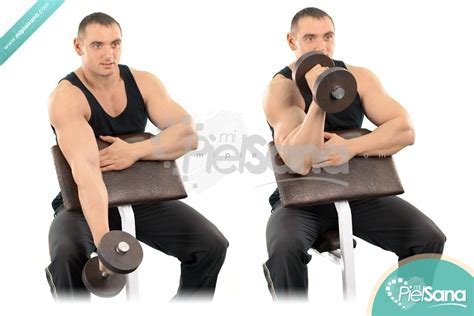 One Arm Dumbbell Hammer Preacher Curl