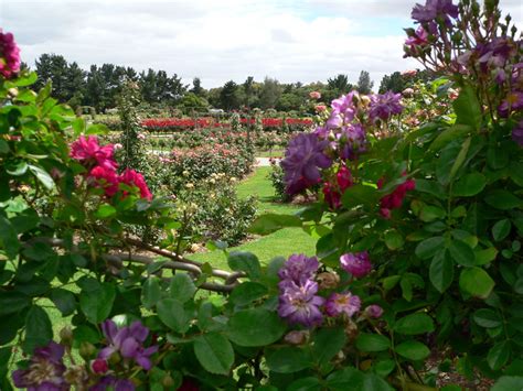 Victoria State Rose Garden