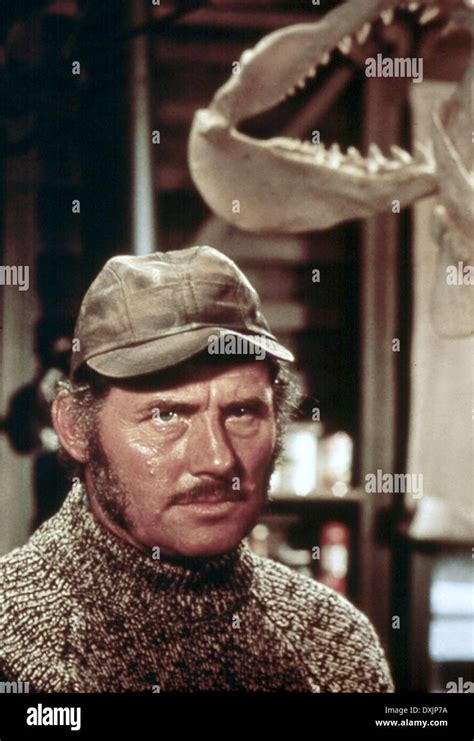 JAWS, 1975, Film, Movie Stock Photo - Alamy